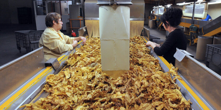 Cumpara tutun vrac la galeata de 1kg in locul tigarilor din pachet?